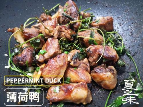 鸭子不吃食怎样灌料
