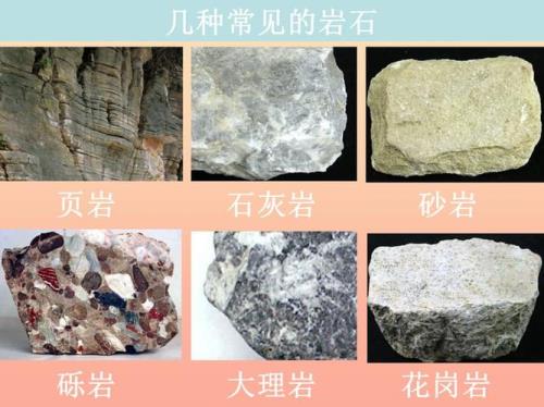 一年级科学石头的编号和分类