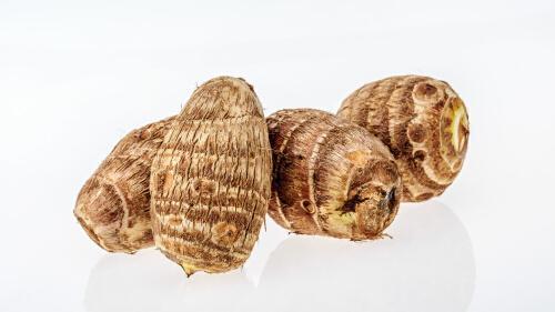 芋头纤维长什么样
