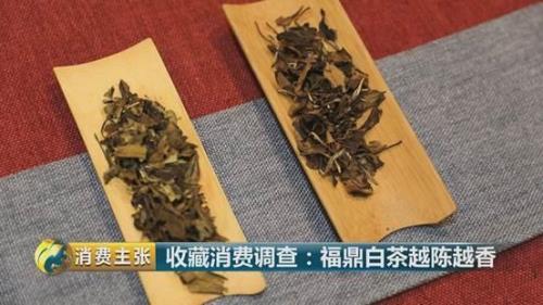 白茶三年药七年宝什么意思