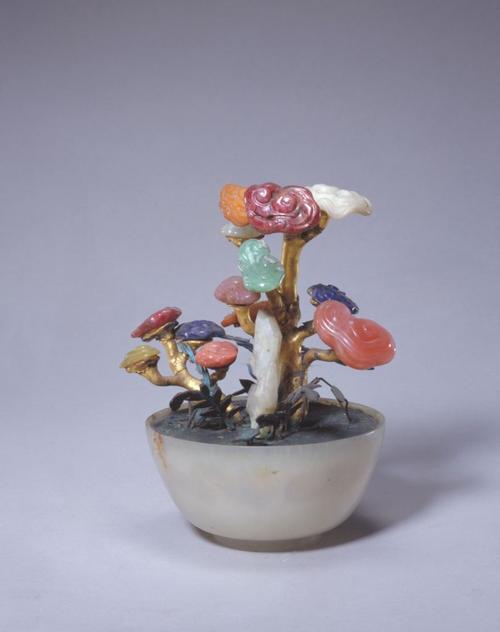 灵芝盆景为什么不用浇水