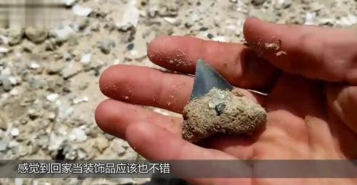 野外怎么判断好石头