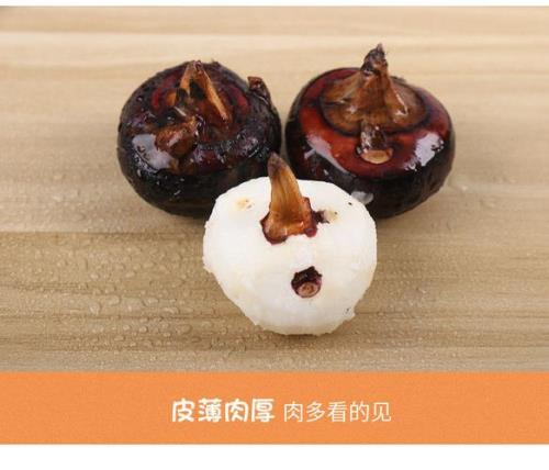 带泥的马蹄怎么保存