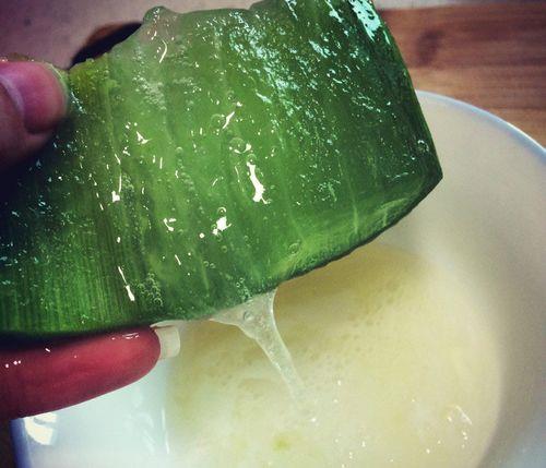 怎样用蛋清养石头