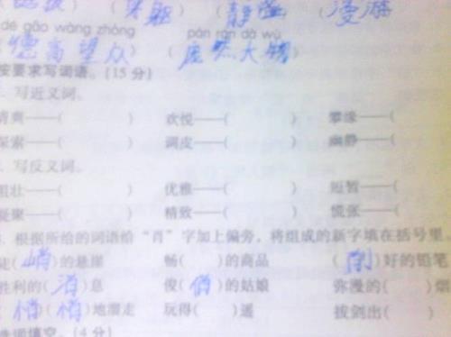 互相的近义词是什么
