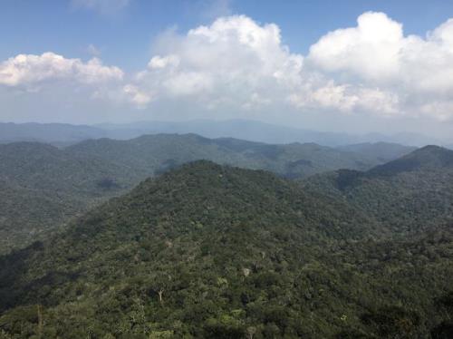 尖峰岭门票几点开始卖