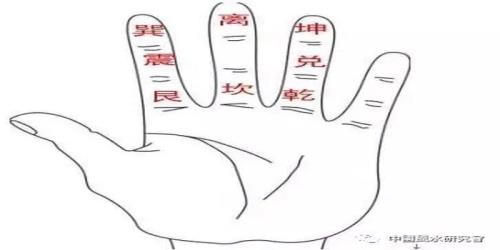 紫白掌诀正确使用方法