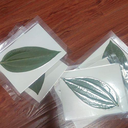 激光叶雕原理