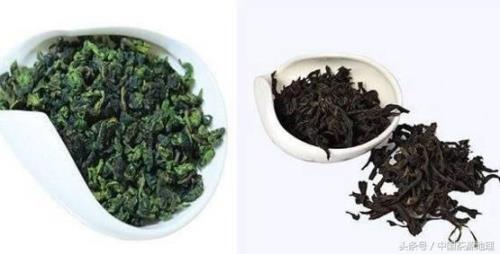 大红袍与铁观音有什么区别