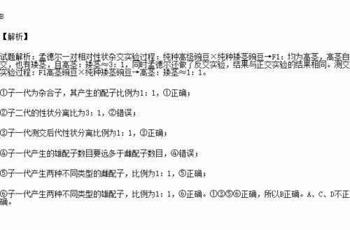 雄配子和雌配子有什么区别