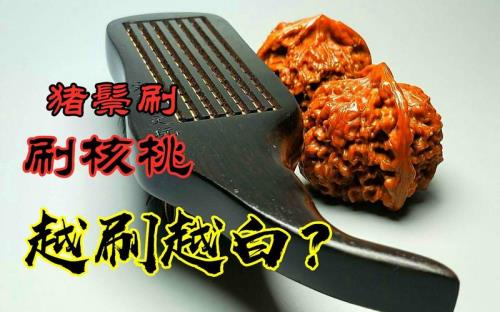 刷核桃用硬猪鬃刷子伤核桃吗