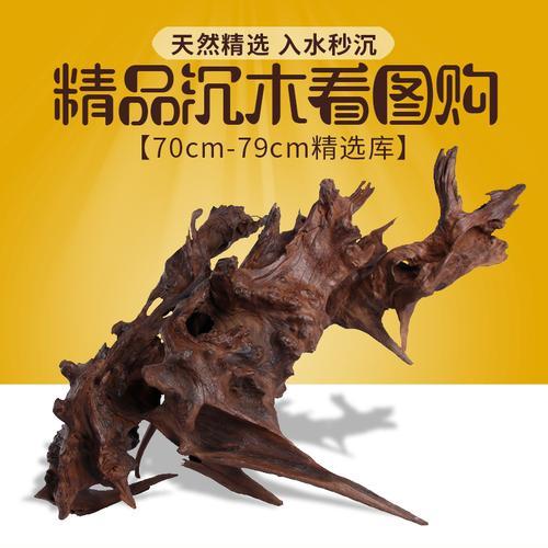 蝴蝶鱼缸放沉木的好处