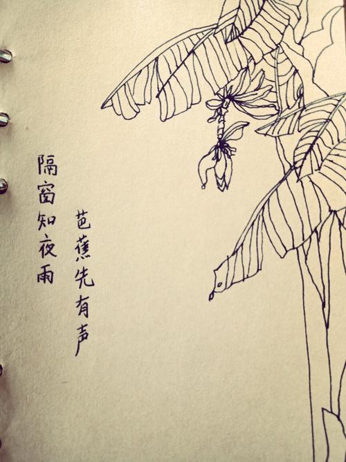 雨中芭蕉，夜雨秋风是什么意思