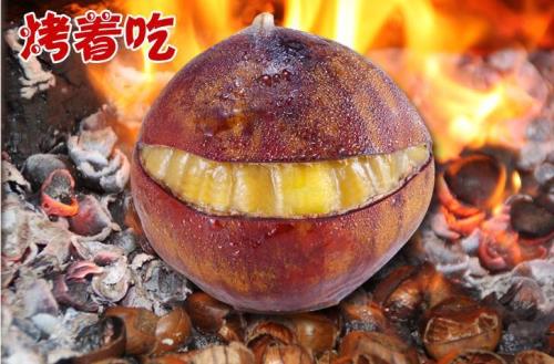 冬天下的冰粒子叫什么