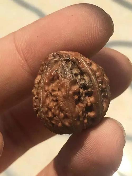 文玩核桃到底能不能刷油
