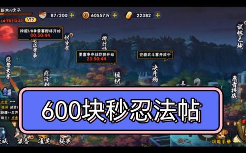 忍法帖25元只能升到80级吗