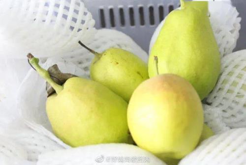 香梨上的蜡如何洗干净
