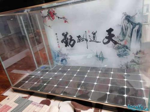 鱼缸底部怎么加固
