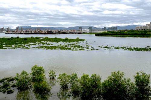 翔安湿地公园在岛内吗