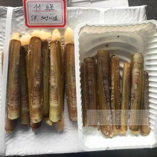 竹节蛏怎样清洗