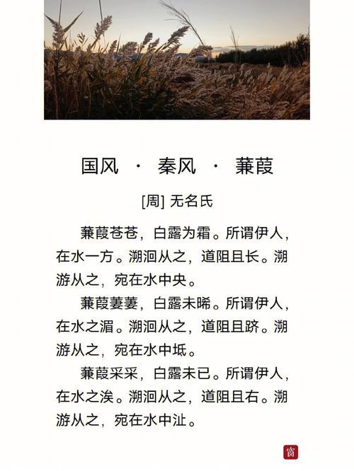 道阻且跻的跻读音