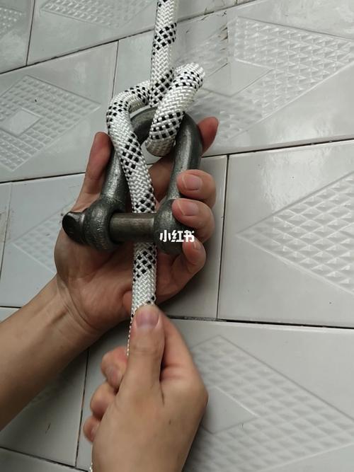 简单蜘蛛结