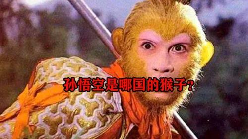 孙悟空是什么猴