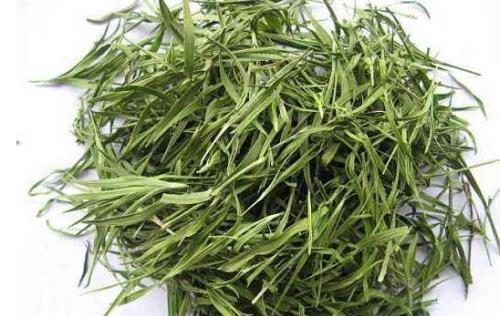 长期喝竹叶茶的好处和坏处