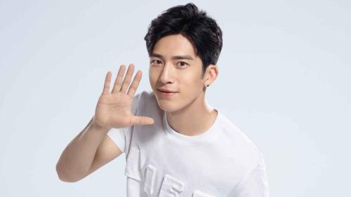 井柏然几线男星