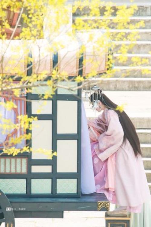 落花时节又逢君几月几号开播