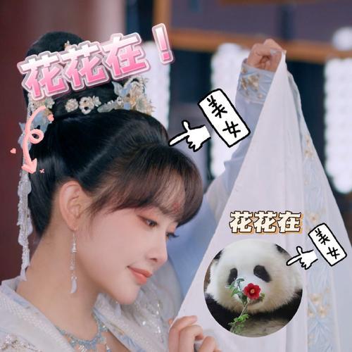 花琉璃轶闻是先婚后爱吗