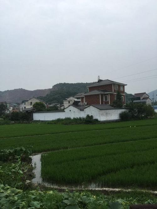 最后一公里村庄读后感