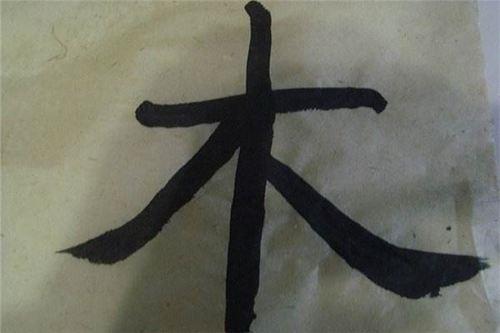 木字底的字有哪些
