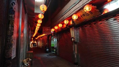 神隐拍了多久