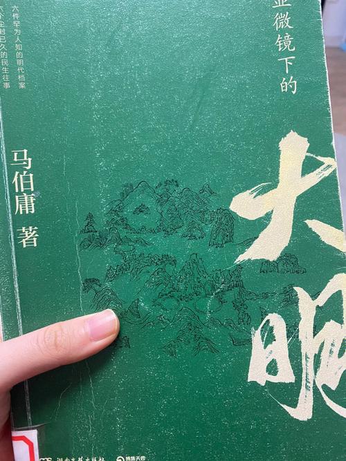 丝绢案小说结局