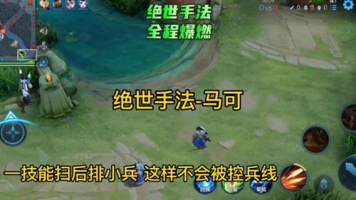 马可的发育顺序
