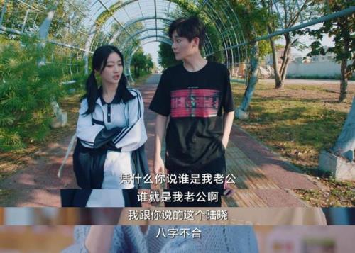 他跨越山海而来徐兆阳结局