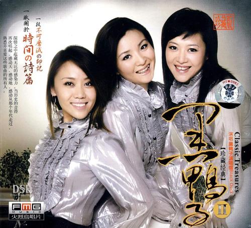 七小龙有那些成员