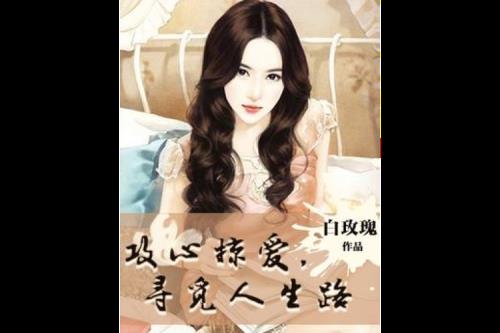 人生之路小说概要
