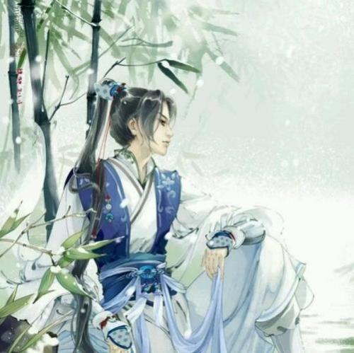 道君有几个女主
