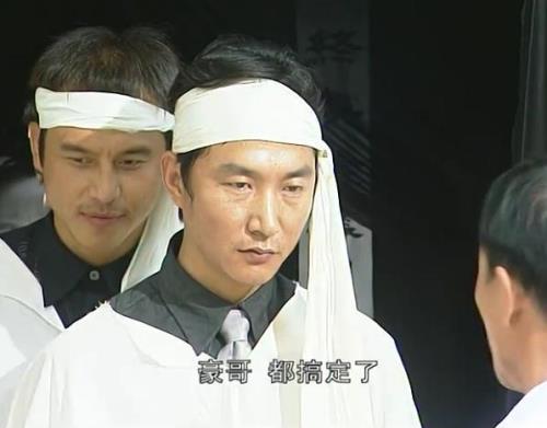 电视连续剧插翅难逃是哪年拍的