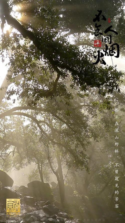 不食人间烟火色文案