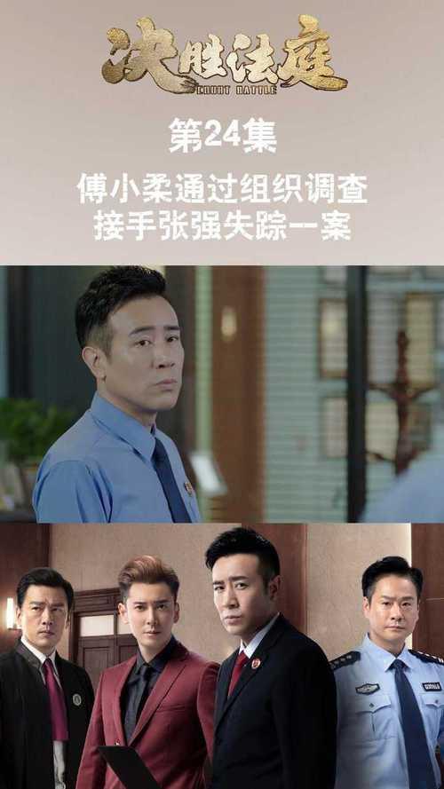 决胜法庭傅小柔为什么接受调查