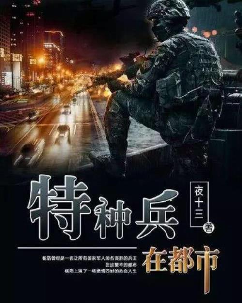 兵王杨洛全集大结局