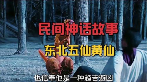 电影东北五仙定档哪里看