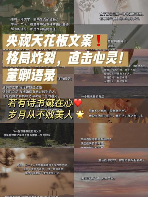 董卿的三观超正语录