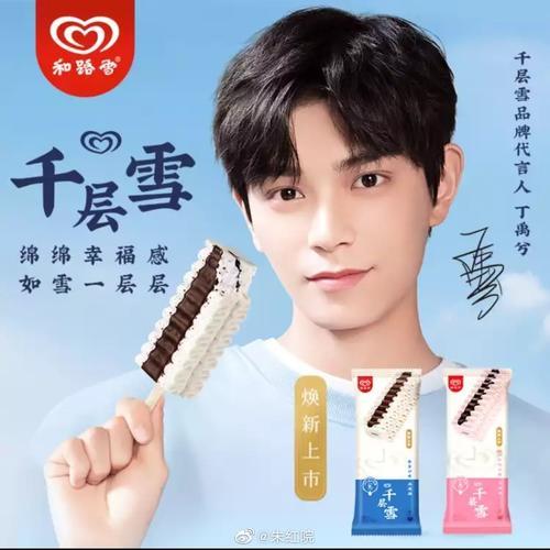 丁禹兮代言的产品