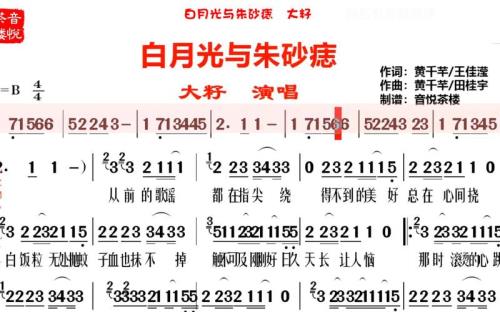 白月光与朱砂痣歌词大意