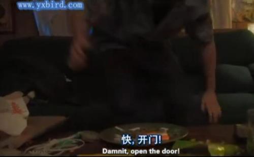 急冻浩劫剧情解析