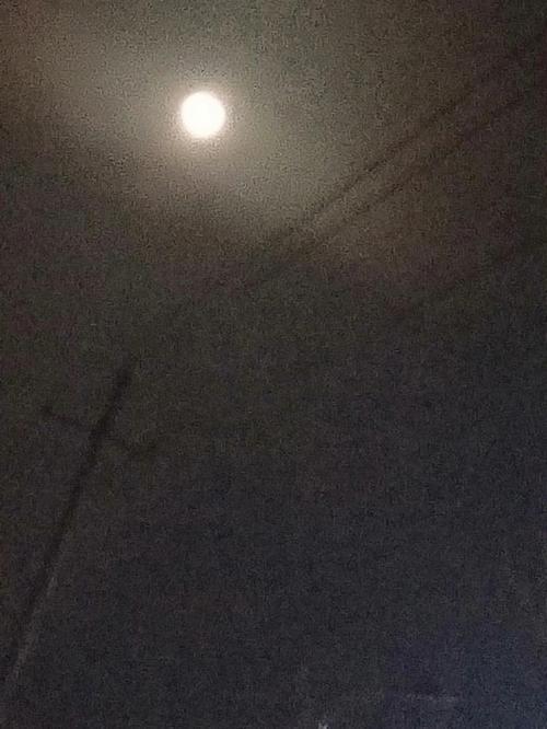 男生说今晚月亮好圆是什么意思